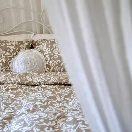 Ca' Scarpa Biennale 威尼斯