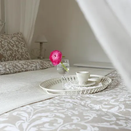 Ca' Scarpa Biennale *