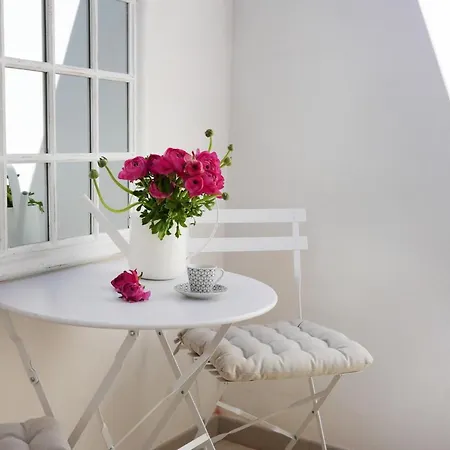 Ca' Scarpa Biennale *