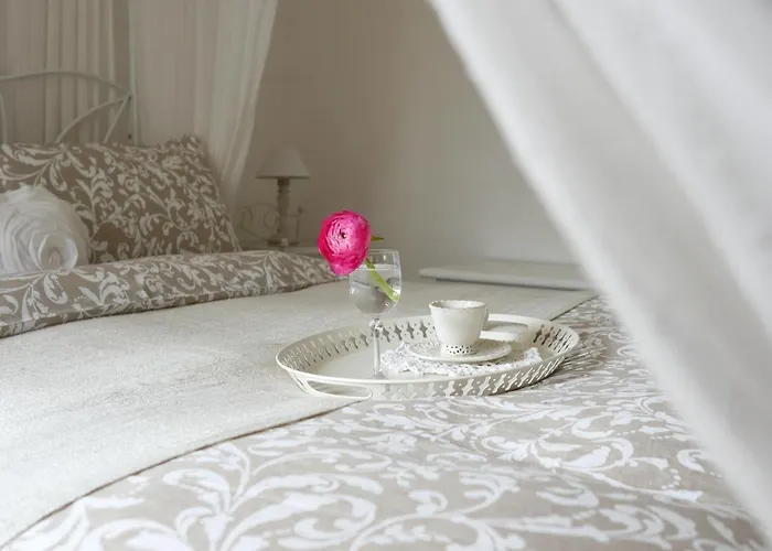 Ca' Scarpa Biennale *